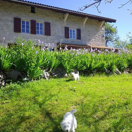 Chambre D'Hotes La Haie Fleurie Chevillard Exterior photo